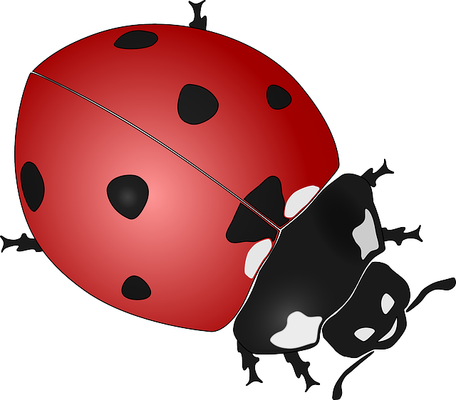 mole-insect-640x480-48487617.png