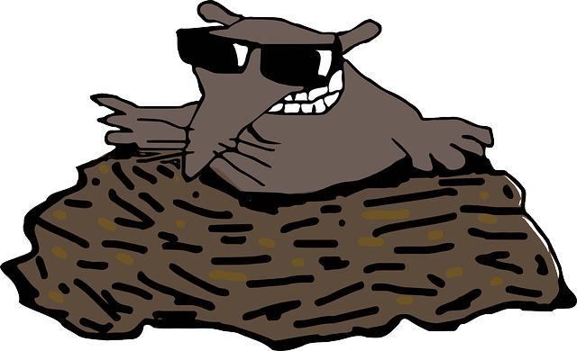mole-insect-640x480-53466527.png