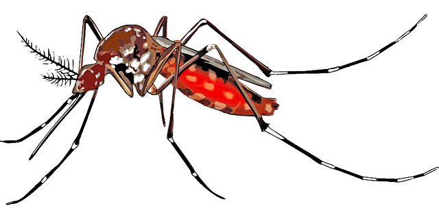 Expert Mosquito Extermination: Achieving Guaranteed Results for Effective Control