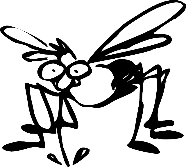 mosquito-640x480-94586302.png