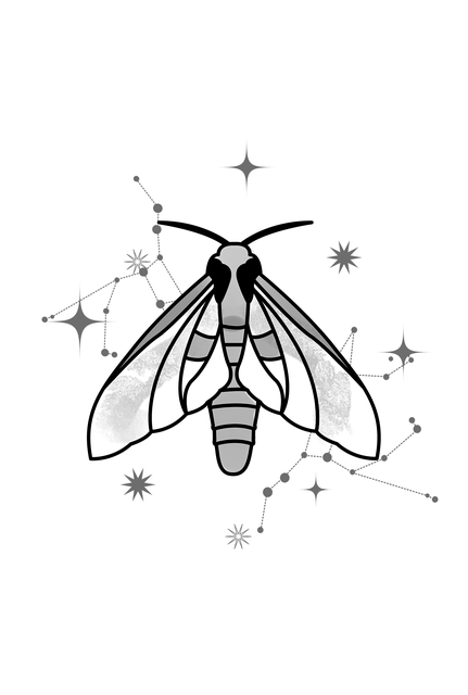 moth-moths-640x480-64866084.png