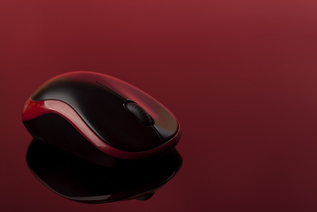 mouse-640x480-23450964.jpeg