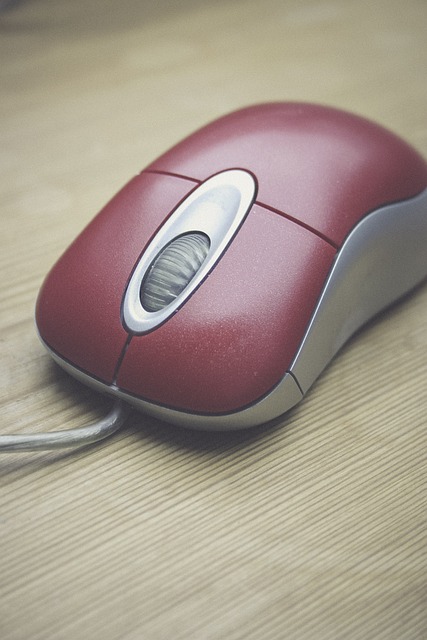 Mastering Mouse Prevention: Advanced Sealing, Eco-Friendly Tips for Expert Protection