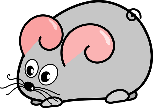 mouse-640x480-28073624.png