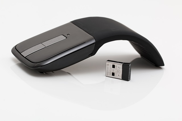 mouse-640x480-99819998.jpeg