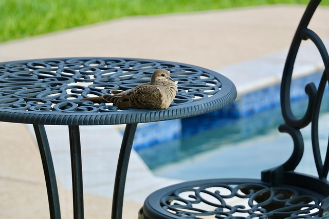outdoor furniture, furniture