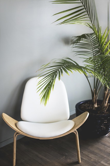 outdoor furniture, furniture