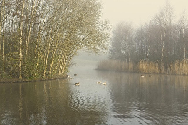 outdoor pond