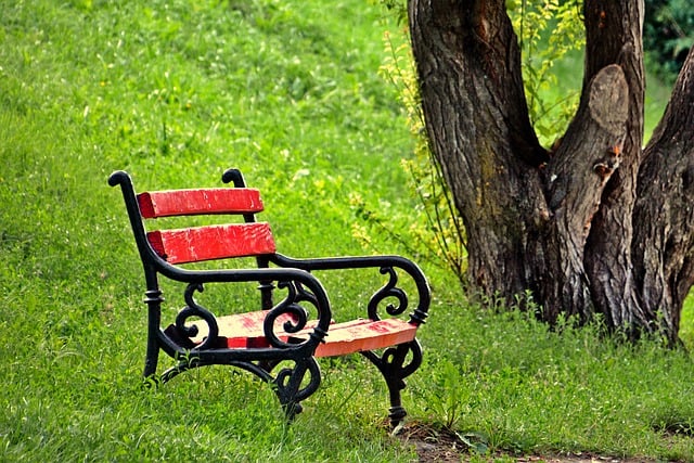 outdoor seating, outdoor seat