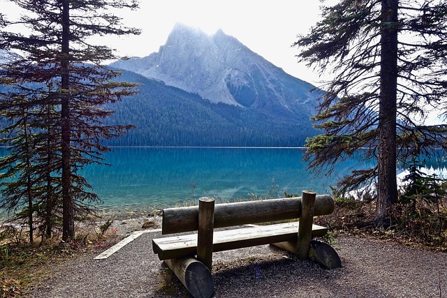 outdoor-seating-outdoor-seat-640x480-29616352.jpeg