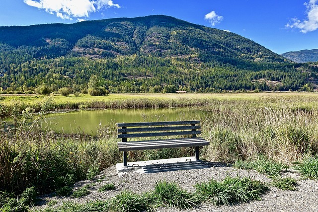 outdoor-seating-outdoor-seat-640x480-69722044.jpeg