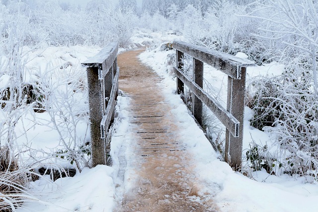 pathway
