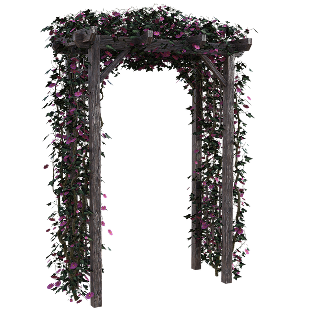patio-640x480-7709977.png