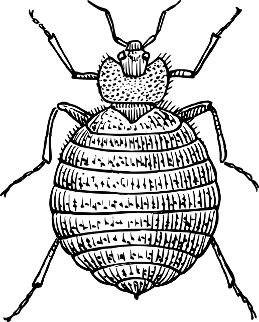 pest-640x480-1748524.png