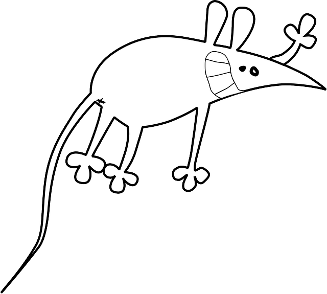 Tailored Pest Control: Effective Solutions for Commercial Success