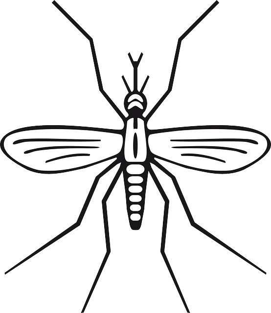 pest-640x480-2573377.png
