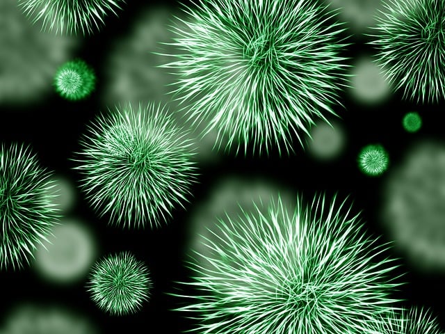 Comprehensive Exterior & Perimeter Pest Control: Protect Your Home Safely