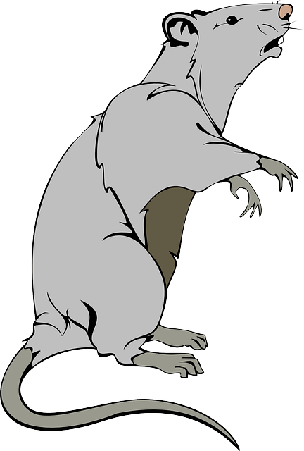 pest-640x480-43283043.png