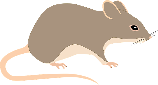pest-640x480-48493892.png