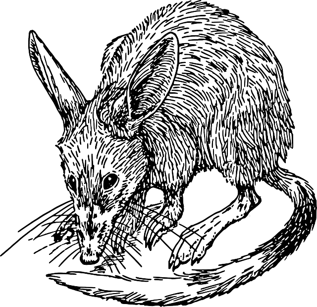 pest-640x480-50989412.png