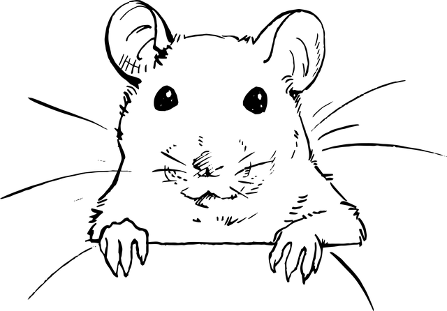 pest-640x480-55547740.png