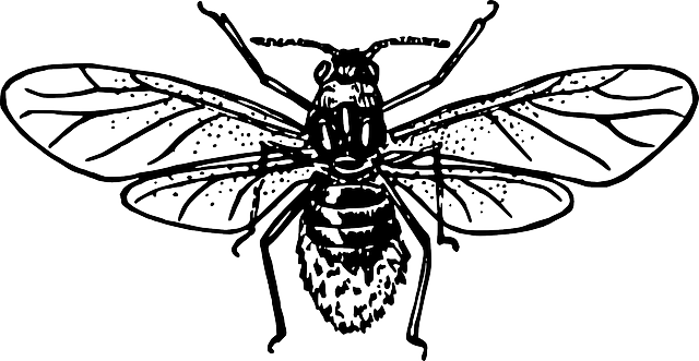 pest-640x480-57333050.png