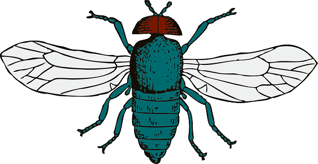 pest-640x480-74999129.png