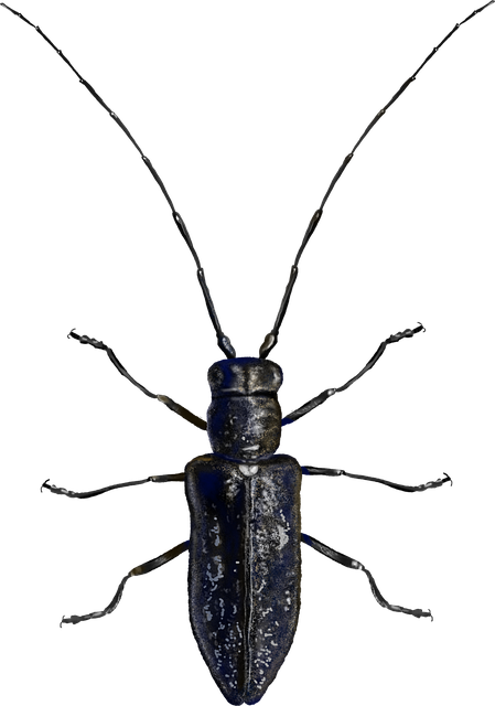 pest-640x480-92407339.png