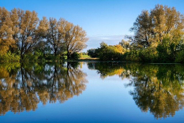 pond-outdoor-pond-outdoor-waterfall-640x480-11494445.jpeg