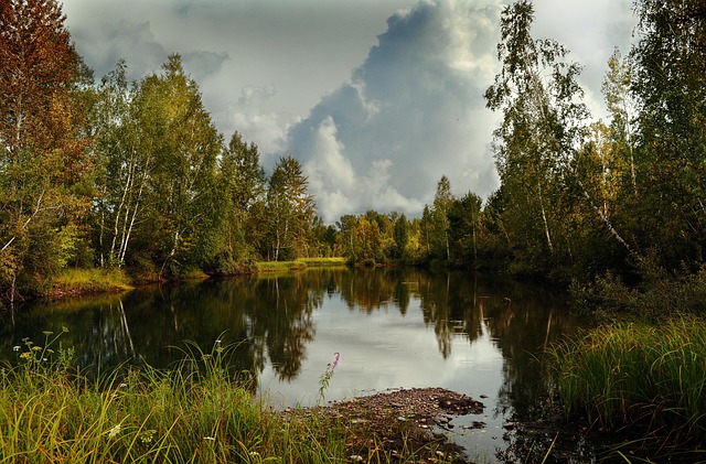 Crafting Dream Ponds & Waterfalls: Design, Construction, and Care
