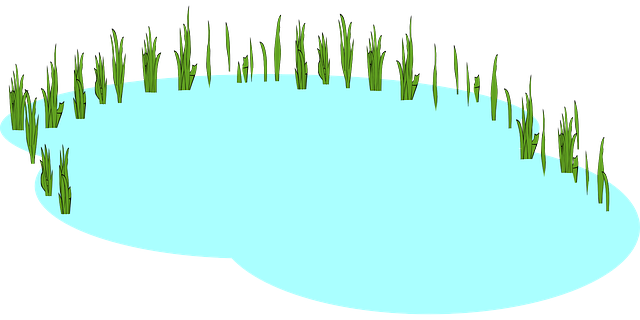 pond-outdoor-pond-outdoor-waterfall-640x480-41090578.png