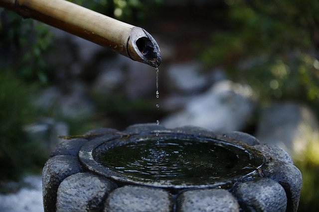 pond, outdoor pond, outdoor waterfall