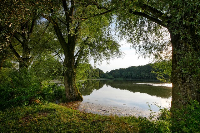 pond-outdoor-pond-outdoor-waterfall-640x480-49350955.jpeg
