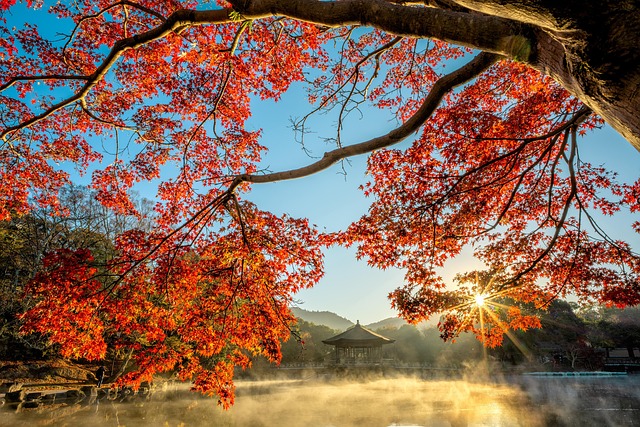 pond, outdoor pond, outdoor waterfall