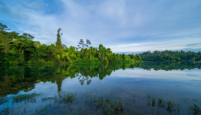 pond, outdoor pond, outdoor waterfall