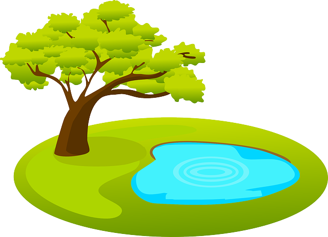 pond, outdoor pond, outdoor waterfall