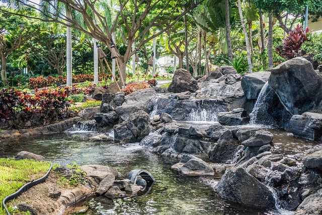 Expert Guide: Custom Water Features Installation and Maintenance