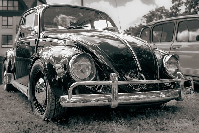 powderpost-beetle-beetle-640x480-23790862.jpeg