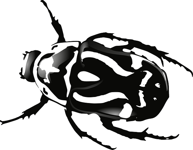 Expert Guide to Powderpost Beetle Protection and Eco-Friendly Control Services Near You