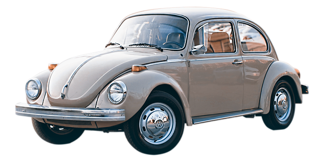 powderpost-beetle-beetle-640x480-90088308.png