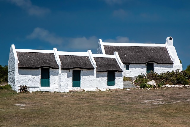 property, asset
