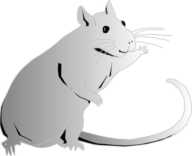 Professional Sanitation Post Rat Infestations: Comprehensive Residential Inspection Service