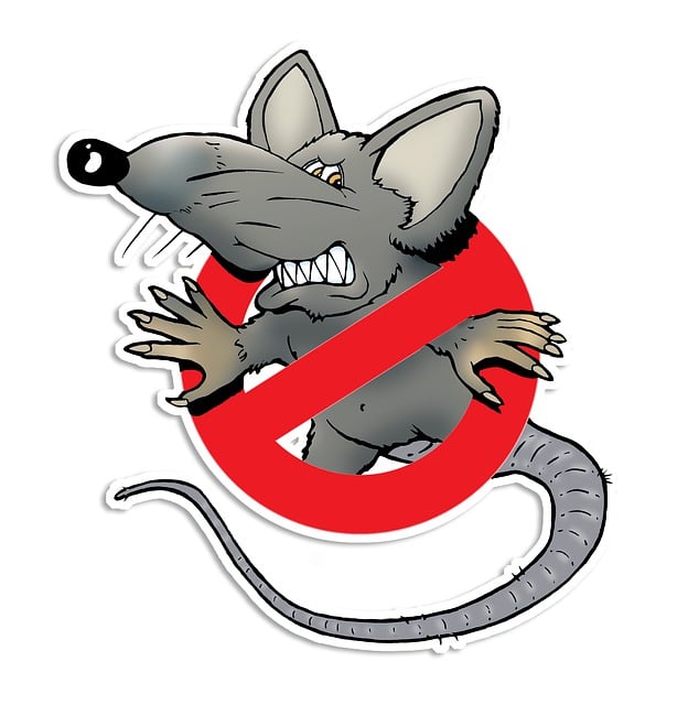 rodent-640x480-74649219.jpeg