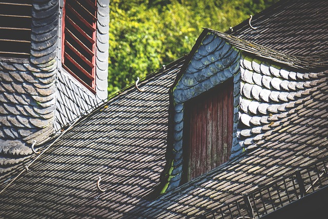 roof-640x480-13119503.jpeg