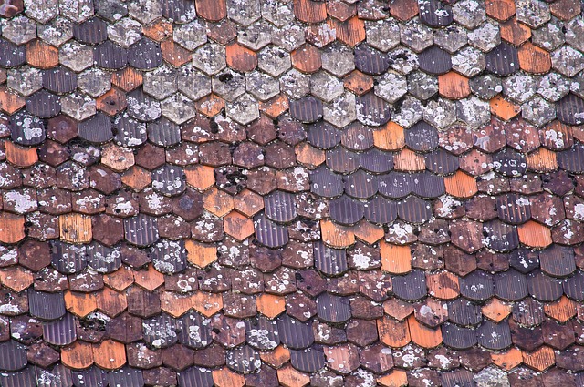 roof-640x480-15610037.jpeg