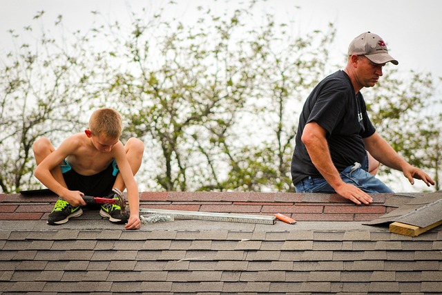 roof-640x480-20041876.jpeg