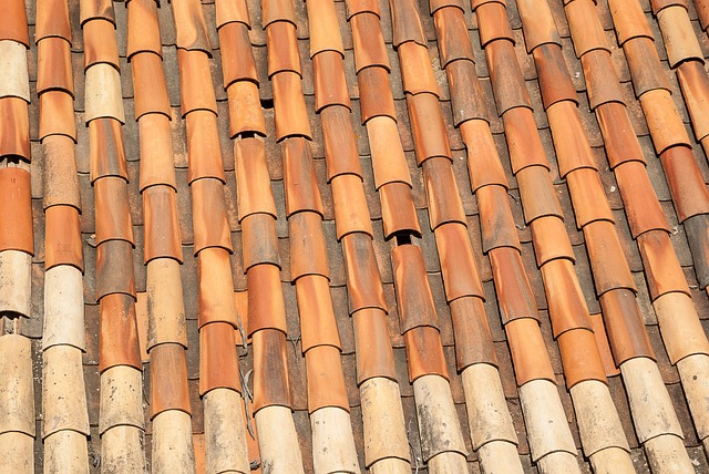 roof-640x480-23946247.jpeg