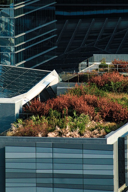 roof-640x480-44956635.jpeg