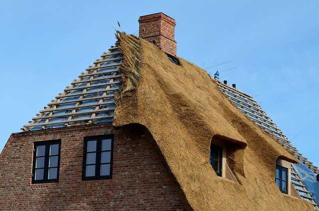 roof-640x480-47033666.jpeg