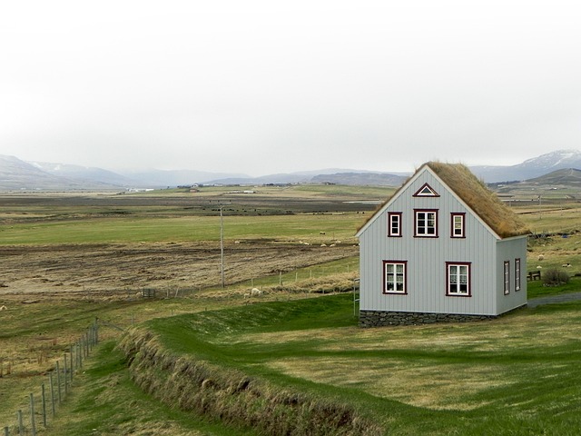 roof-640x480-61986409.jpeg
